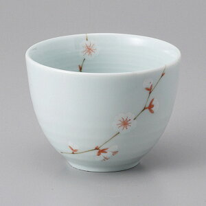 Z pqE~j aԏq 10.4×7.7cm