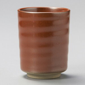 Z i `֘ZxCi 8×10.4cm 300cc