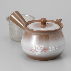 Z W{}{iJSA~tj 21×14×12cm 1000cc