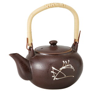 Z ؃XXL ؃XXL@4yr 13×10.2cm 700cc