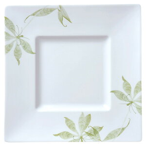 Z N}`X N}`X@΁@8D0pv[g 24.1×24.1×2.9cm