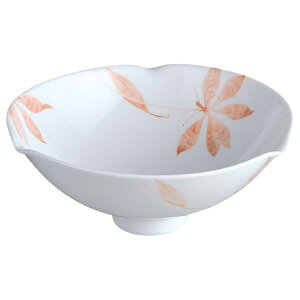 Z N}`X N}`X@ԁ@ق̂6D8 21.2×8.8cm 1150cc