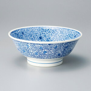 Z ZÖ6D8[ 21.5×9cm 1100cc