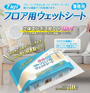 tWibv@tApEFbgV[g@30×32@P[X̔