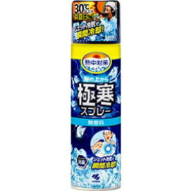 小林製薬　熱中対策 服の上から極寒スプレー　330ml　無香料