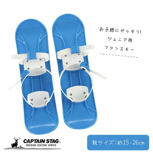 LveX^bO Jr.t@XL[ u[ M-1515