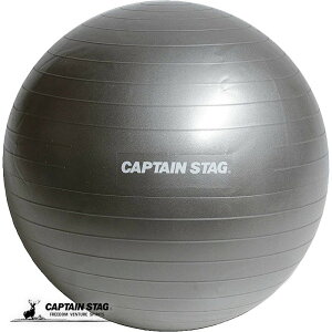 LveX^bO Vit FIt tBbglX{[ 55cm Vo[zCg GNTTCY tBbglX ̊g[jO UR-861