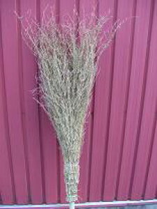 y󂠂Esz5iߒ|ⴁ@ΏۊOi