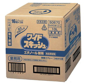 花王業務用 ワイドスキッシュ10L