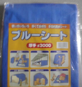 u[V[g@@#3000@10m×10m@10.0×10.0m