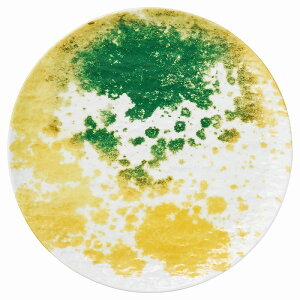 EARTH�i�u�j�Ζ�28cm�v���[�g