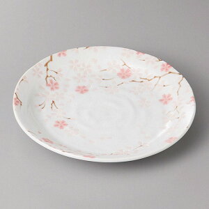 Zā@_{6.0M@19.2×3.8cm