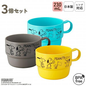 s[ibciXk[s[j@Rbv3Zbg@PT-6@Ep[eBɂ֗ȐH@dqWEH@Ή