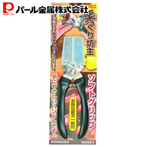 p[ ֗ IV \tgObv C-3809