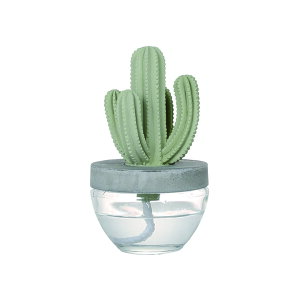 DULTON@_gCACTUS FRAGRANCE DIFFUSERJN^X tOX fBt[U[ A}IC CeAG 