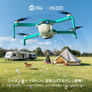 �y20%OFF�N�[�|������zHoly Stone �h���[�� �q������ ���� �������� �V���{���� �d�� �o�u���h���[�� ���O �܂肽���ݎ� �o�b�e���[2�� 30����s���� �u���V���X���[�^�[ �����L�[ ���� ���� �X