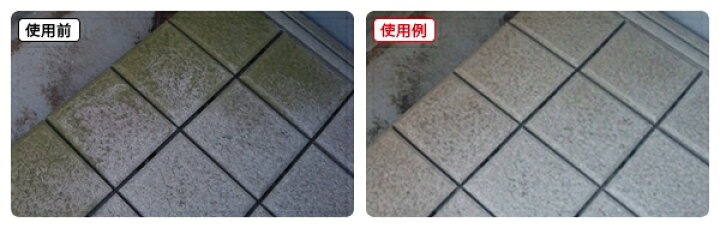 最低価格の コケ取り剤 苔取り剤 洗剤 400ml コケ掃除 外壁 玄関 コンクリート 石畳 墓石 駐車場 レンガ タイル モルタル 屋外用 スプレー 苔除去 業務用 Shipsctc Org