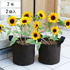 Jo[ sDzv^[ 2g z i v^[Jo[ sDz a21cm |bgJo[ AؔJo[ Aؔ v^[ Jo[ v^[oXPbg ~` ^ 7 ϗtA A  