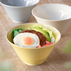 皿 ボウル 17cm シエル 磁器 美濃焼 ( 食洗機対応 電子レンジ対応 大鉢 丼 深鉢 食器 お皿 麺鉢 丸 ラーメン鉢 どんぶり サラダボウル 麺類 汁物 )