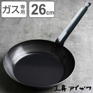 H[ACU ubNs[} tCp 26cm i aizawa S KXΐp { StCp uߓ ߓ S̃tCp ^tCp ACU KXΑΉ 26Z` S S