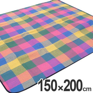 レジャーシート 厚手 特大の人気商品 通販 価格比較 価格 Com