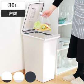 【先着】最大400円OFFクーポン有！ ゴミ箱 30L 密閉プッシュペール エバン （ ごみ箱 30リットル ニオイ漏れ 防止 密閉 スリム シンプル 分別 ワンタッチ パッキン EBAN 袋止め付き 押し蓋 臭わない 生ごみ 縦型 オムツペール キッチン ふた付き ）