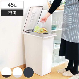 【先着】最大400円OFFクーポン有！ ゴミ箱 45L 密閉プッシュペール エバン （ ごみ箱 45リットル ニオイ漏れ 防止 密閉 スリム シンプル 分別 ワンタッチ パッキン EBAN 袋止め付き 押し蓋 臭わない 生ごみ オムツペール ふた付き ）