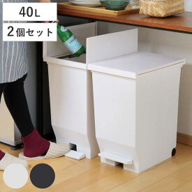 【先着】最大400円OFFクーポン有！ ゴミ箱 40L 同色2個セット エバン 両開きペダルペール （ 45リットルゴミ袋対応 40リットル ごみ箱 両開き 棚下 スリム ふた付き 分別 キッチン 高さ制限 カップボード カウンター下 収納 ホワイト ブラック ）