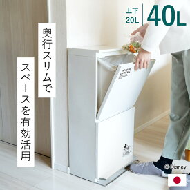 ゴミ箱 40L 2段 分別 ペダル式 ミッキー ワイド ディズニー （ 40リットル ごみ箱 Disney Mickey キッチン ふた付き スリム ペダル 袋が見えない ダストボックス 縦型 隙間 大容量 奥行き28 cm シンプル カウンター下 高さ制限 棚下 ）