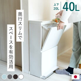 ゴミ箱 40L 2段 薄型 ペダル式 ワイド 分別 公認ショップ限定 （ 40リットル ごみ箱 キッチン ふた付き スリム ペダル 袋が見えない ダストボックス 縦型 隙間 大容量 奥行き28 cm シンプル カウンター下 高さ制限 棚下 ）