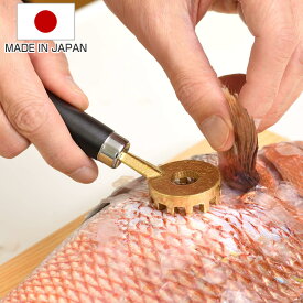 ウロコ取り 大人の焼魚 鱗とり 日本製 （ 鱗取り ウロコ 取り 魚 さばく おろす 台所用品 キッチン用品 燕三条 魚料理 おしゃれ 真鍮製 カバー付き 使いやすい 下ごしらえ ）