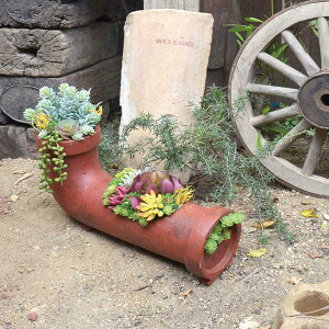 サボテン おしゃれ 鉢の人気商品 通販 価格比較 価格 Com