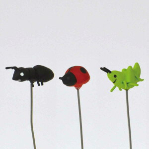 K[fsbN ~jsbN A egEV ob^ 3Zbg i sbN K[fjOG | K[fjOpi Aj}  t[sbN W CeA a ĂƂ ΂