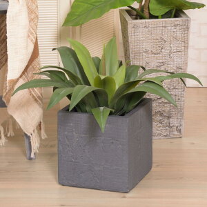 プランター グリーンベース 幅25×奥行25×高さ25.5cm ( 植木鉢 プラントポット 植物用ポット 鉢 花器 鉢カバー ポット キューブ 角 四角 スクエア 植木鉢カバー 鉢入れ 植物 花 観葉植物 寄せ植