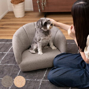 ペットソファ 幅55cm 木製フレーム ( ペット ソファー ペットベッド 犬 猫 完成品 ファブリック おしゃれ 北欧風 シェル型 グレー アイボリー )