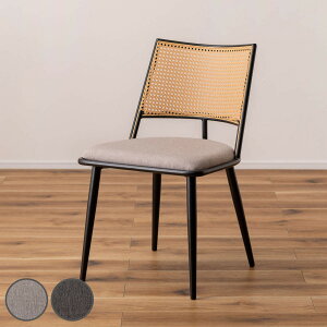 _CjO`FA ^ N^O ʍ46cm i i ֎q _CjO `FA   ٕ҂ lH^ ` `FA[ CX  H֎q A[X`FA rO`FA 