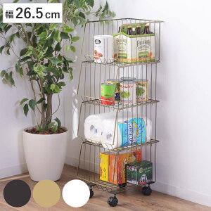 X^bLOS 26.5cm 4i XgbJ[ LX^[t i C[oXPbg S bN oXPbg [ ߗގ[ G  ߗ [  X^bLO {bNX li 