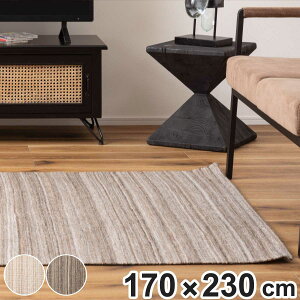 O XgCv O}bg 170×230cm TTR-202 i O~ }bg ` g[Ή gΉ ANZgO g zbgJ[ybg Ή CeA XgCv j