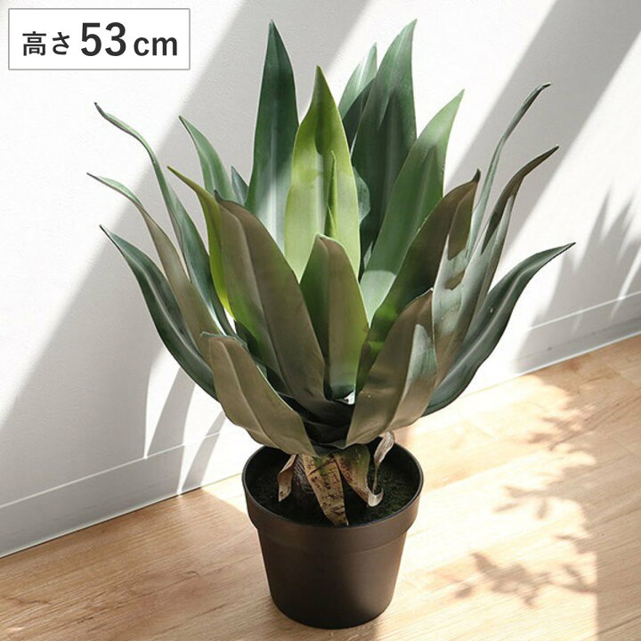 楽天市場】人工観葉植物 アガベ 53cm フェイクグリーン 造花 （ 観葉 