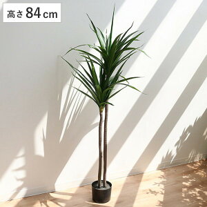 lHϗtA hZi 84cm tFCNO[  i ϗtA tFCN lHA A[gO[  O[  bNX A  lH ͂Ȃ sv ȒP  Ce