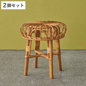 Xc[ 2rZbg 45cm ^  ֎q ی^ VR CX i  `FA `FA[ | ^`FA  rO  a a ۈ֎q Eߏ ʏ qp j