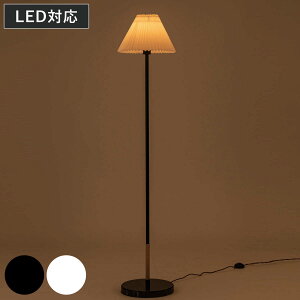 X^hCg LEDΉ SNAIL dt 嗝 tACg i v[c VF[h LED tA X^h ^ Cg tAv Ɩ X`[ g k _ Be[W 