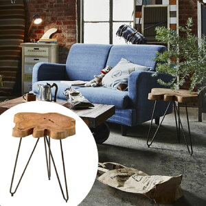 TChe[u N C P 40cm i VRؐ Jg[ iCge[u ԑ R[q[e[u TChe[u VRؐ Jg[ j