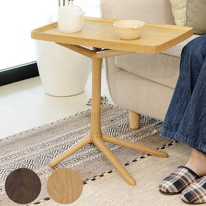 TChe[u 2WAY VR 54cm i  gC  ؐ   e[u ~ g[^V k i`   JtFe[u rOe[u  j