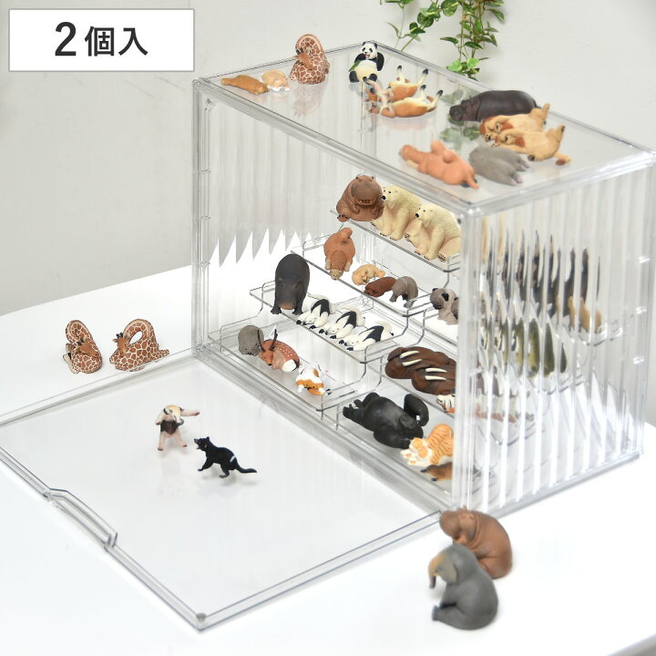 楽天市場】コレクションケース ラダー付き マルチクリアボックス 2個 