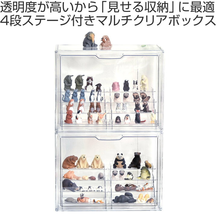 楽天市場】コレクションケース ラダー付き マルチクリアボックス 2個 