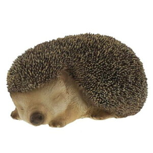 I[ig nlY~ ₷ i u K[fI[ig K[fjO fBXvC  u }XRbg ͂˂ A  GgX  K[f G CeA 