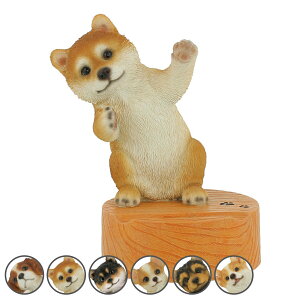 X}zX^h  IuWF ybg  i gуX^h [d X}[gtHX^h cu    Aj} X}zu c 킢 X}z g X^h z_[ X}z 