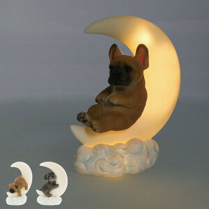 e[uCg   i Cg v LED  RpNg e[uv dr 킢 Ck pO t`u ViEU[ iCgCg CeA G rO Q  M