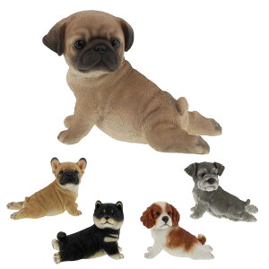 K[fI[ig Xgb`  i K[fjO I[ig fBXvC  u K[f}XRbg   GgX  K[f G CeA  EFJI